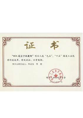 2005年1月MCA高分子促凝劑獲“九五、十五”科技成果獎(jiǎng)